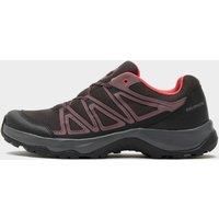 Salomon Women's Barrakee Shoe, Grey