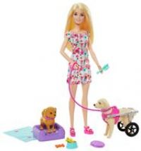 Barbie Doll with 2 Toy Dogs & Pet Accessories, 1 Pup in a Removable Wheelchair with Rolling Wheels, 10+ Piece Set, HTK37