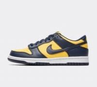 Nike navy dunk low Boys Youth trainers