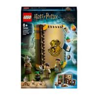 LEGO Harry Potter PROFESSOR SPROUT MINIFIGURE from 76384 Herbology class HP270