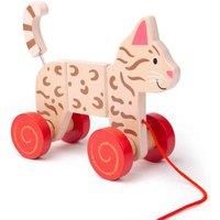 Bigjigs Toys Pull Along (Cat)