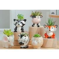 Mini Animal Shape Succulent Flower Pot - 6 Designs