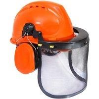 Helmet With Eye And Ear Protection