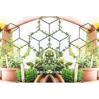 Indoor/Outdoor Plant Support Trellis - 1,2 Or 4Pcs!