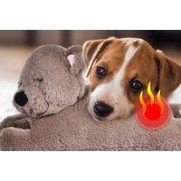 Heated Plush Pet Toy - Dog, Sheep Or Bear!