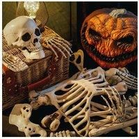 24 Pcs Halloween Realistic Skull and Bone Skeleton Decoration Kit