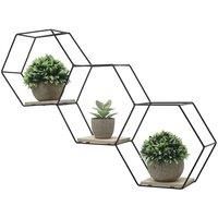 Modern Hexagon Wall Shelf with Iron Frame