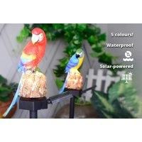 Led Solar Outdoor Animal Light - White Or Yellow