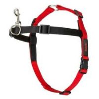 Halti Front Control Dog Harness, No Pull Harness for Small Dogs, Stop Dog Pulling on Walks with Halti Dog Harnesses, for Large Dogs