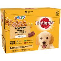 Pedigree Junior Wet Dog Food for Young Dogs and Puppies 2-12 Months Mixed Selection in Jelly, 12 x 100g