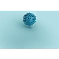 Acupressure Massage Ball