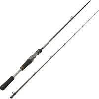 Lure Fishing Rod Wxm5 200m Casting