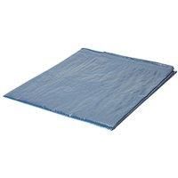 Tarpaulin sheet (L)3m (W)2 m