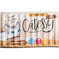 Catessy Sticks 10 x 5g - with BBQ Turkey