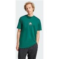 adidas Mens Graphic Logo T-Shirt Regular Fit Crew Neck Lightweight