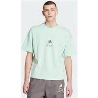 adidas Men/'s Mercedes - AMG Petronas Formula ONE Team Premium Woven TEE Men, Frozen Green/Grey strata, M