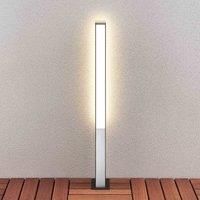 Lucande Aegisa LED path light, 80 cm