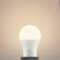 Arcchio LED Bulb /'E27 LED 13,5W/' (E27) from Light Bulbs