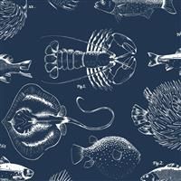 Contour Into The Deep Navy Fish Wallpaper Textured Vinyl Kitchen & Bathroom