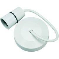 Wickes Ceiling Pendant & Rose with 9in Cable - White