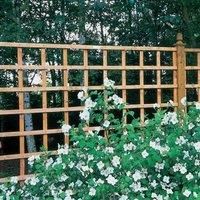 Forest Garden Fence Top Trellis Square Lattice - 1.83m X 900mm