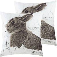 Evans Lichfield Photo Hare Polyester Filled Cushions (Twin Pack), Multi, 43 x 43cm