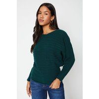 Womens Tall Pointelle Batwing Slash Neck Jumper