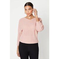 Womens Petite Pointelle Batwing Slash Neck Jumper