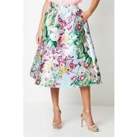 Coast Midi Skirt Womens Occasion Skirts