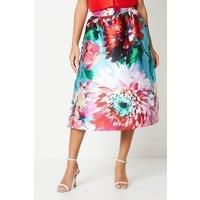 Coast Midi Skirt Womens Occasion Skirts