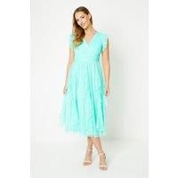 Coast Midi Dress Womens Occasion Dresses