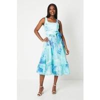 Coast Full Skirted Dress Womens Occasion Dresses