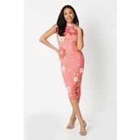 Coast Pencil Dress Womens Occasion Dresses