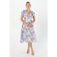 Coast A-Line Dress Womens Occasion Dresses