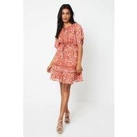 Paisley Dobby Chiffon Trim Insert Skater Dress