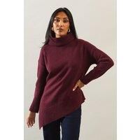 Petite Plain Asymmetric Roll Neck Jumper