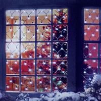 Premier 1.7m x 1.2m 180 LED Multi Action Christmas Net Window Light