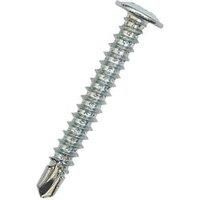 Easydrive Phillips Wafer Self-Drilling Baypole Screws 4.8mm x 60mm 100 Pack (3819P)