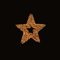 Premier Decorations Rose Gold LED Star Christmas Decoration