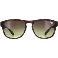 Superdry Sunglasses Rockstar 170A Brown Brown