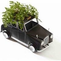 Arboria Kings Coronation Black London Taxi Cab Planter