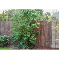 Papillon Bark Natural Garden Fence Screening Roll Privacy Border Wind & Sun Protection 4.0m x 1.2m (13ft 1in x 3ft 11in)