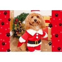 Christmas Santa Clause Dog Pet Puppy Costume Outfit Coat Fancy Dress Clothes - Small