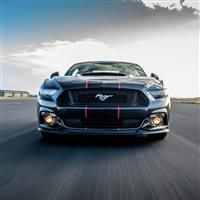 Activity Superstore Ford Mustang Blast Gift Experience