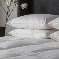 Simply Sleep Anti Allergy Microfibre Pillow