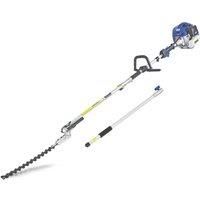 Pole Hedge Trimmer Pruner Extension Long Reach Petrol 52cc 3 Metre Reach HYUNDAI