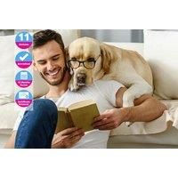 Animal Psychology Online Course - Cpd Certified!