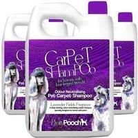 Pet Carpet Shampoo Lavender Fragrance Odour Neutralising 3 x 5L