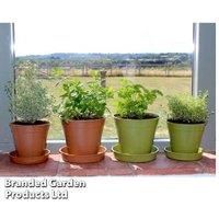 Garden Bamboo Seed Trays Pots & Saucers Sets Sage Green or Terracotta Reusable