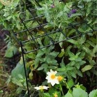 Rectangle Grid Plant Support